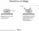 Fig. 02 - THERAPEUTIC OLIGONUCLEOTIDES