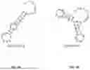 Fig. 09 - THERAPEUTIC OLIGONUCLEOTIDES