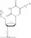 Fig. 45 - SINGLE STRANDED DNA ENZYME INHIBITORS