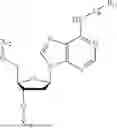 Fig. 49 - SINGLE STRANDED DNA ENZYME INHIBITORS