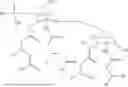 Fig. 02 - IMMUNOGENIC COMPOSITIONS COMPRISING MYCOBACTERIUM TUBERCULOSIS POLYPEPTIDES AND FUSIONS THEREOF