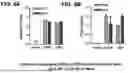 Fig. 05 - IMMUNOGENIC COMPOSITIONS COMPRISING MYCOBACTERIUM TUBERCULOSIS POLYPEPTIDES AND FUSIONS THEREOF
