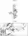 Fig. 04 - ENGINEERED CLEAVABLE CARRIERS AND METHODS OF USE THEREOF