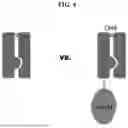 Fig. 06 - ENGINEERED CLEAVABLE CARRIERS AND METHODS OF USE THEREOF
