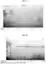 Fig. 07 - ENGINEERED CLEAVABLE CARRIERS AND METHODS OF USE THEREOF