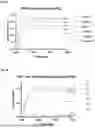 Fig. 04 - MUTANT PD-1 EXTRACELLULAR DOMAINS
