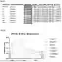 Fig. 05 - MUTANT PD-1 EXTRACELLULAR DOMAINS