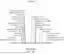 Fig. 02 - OPTIMIZED FACTOR VIII GENE