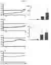 Fig. 07 - Process for manufacturing cross-linkable biopolymers