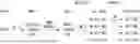 Fig. 01 - Method for constructing human pluripotent stem cell-derived liver organoid having enhanced drug metabolic potential and liver organoid constructed by same method