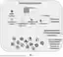 Fig. 02 - FUNCTIONAL BRAIN REGION-SPECIFIC NEURAL SPHEROIDS AND METHODS OF USE