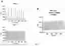 Fig. 09 - FUNCTIONAL BRAIN REGION-SPECIFIC NEURAL SPHEROIDS AND METHODS OF USE