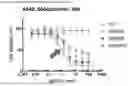 Fig. 04 - SIRNAS AGAINST KRAS AND RAF1