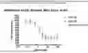 Fig. 08 - SIRNAS AGAINST KRAS AND RAF1