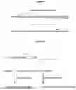 Fig. 02 - GENOME EDITING FOR TREATING MUSCULAR DYSTROPHY