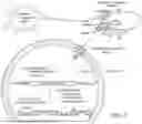 Fig. 02 - SYSTEMS AND METHODS FOR PROTEIN EXPRESSION