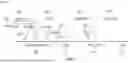 Fig. 07 - TURBULENT JET CONTROLLED COMPRESSION IGNITION (TJCCI) ENGINE
