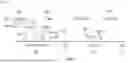 Fig. 08 - TURBULENT JET CONTROLLED COMPRESSION IGNITION (TJCCI) ENGINE
