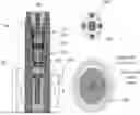 Fig. 01 - VALVE, TIRE PRESSURE ADJUSTMENT METHOD, AND TIRE PRESSURE ADJUSTMENT APPARATUS