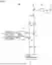 Fig. 02 - MICRO-RAMAN DEVICE