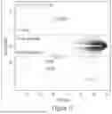 Fig. 40 - METHODS TO PREVENT TERATOGENICITY OF IMID LIKE MOLECULES AND IMID BASED DEGRADERS/PROTACS