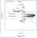 Fig. 41 - METHODS TO PREVENT TERATOGENICITY OF IMID LIKE MOLECULES AND IMID BASED DEGRADERS/PROTACS