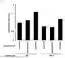 Fig. 02 - TEST FOR MILD COGNITIVE IMPAIRMENT