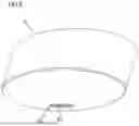 Fig. 07 - Intermediate transfer unit and image forming apparatus