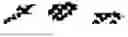 Fig. 335 - Digitized New Language, Input Method Therefor, and Input Tool Therefor