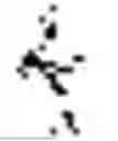 Fig. 421 - Digitized New Language, Input Method Therefor, and Input Tool Therefor