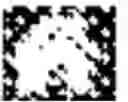 Fig. 565 - Digitized New Language, Input Method Therefor, and Input Tool Therefor