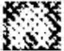 Fig. 577 - Digitized New Language, Input Method Therefor, and Input Tool Therefor