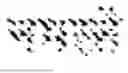 Fig. 676 - Digitized New Language, Input Method Therefor, and Input Tool Therefor