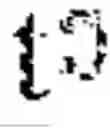 Fig. 74 - Digitized New Language, Input Method Therefor, and Input Tool Therefor