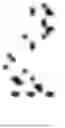 Fig. 856 - Digitized New Language, Input Method Therefor, and Input Tool Therefor