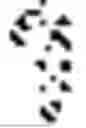 Fig. 862 - Digitized New Language, Input Method Therefor, and Input Tool Therefor