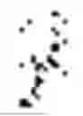 Fig. 883 - Digitized New Language, Input Method Therefor, and Input Tool Therefor