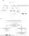 Fig. 09 - DATASET DEFINITION AND COLLECTION FOR LIFECYCLE MANAGEMENT SYSTEM FOR CONTENT-BASED DATA PROTECTION