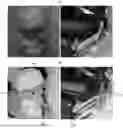 Fig. 01 - APPARATUS AND METHOD FOR IMPROVING NO-FLASH IMAGE QUALITY USING FLASH IMAGE