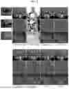 Fig. 06 - APPARATUS AND METHOD FOR IMPROVING NO-FLASH IMAGE QUALITY USING FLASH IMAGE
