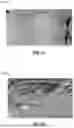 Fig. 09 - GOLF BALL TRACKING SYSTEM AND METHODS