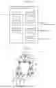 Fig. 02 - PHYSIQUE DETERMINATION DEVICE AND PHYSIQUE DETERMINATION METHOD