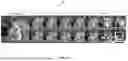 Fig. 08 - GENERATING OBJECTS OF MIXED CONCEPTS USING TEXT-TO-IMAGE DIFFUSION MODELS