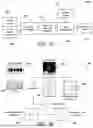 Fig. 02 - SPEECH-DRIVEN ANIMATION USING ONE OR MORE NEURAL NETWORKS