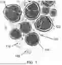 Fig. 02 - QUANTITATIVE STRUCTURAL ASSAY OF A NERVE GRAFT