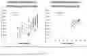 Fig. 08 - QUANTITATIVE STRUCTURAL ASSAY OF A NERVE GRAFT