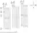 Fig. 06 - ELECTRICAL CONNECTOR ASSEMBLY