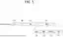 Fig. 06 - METHOD AND APPARATUS FOR APPLYING PHASE ROTATION IN BROADBAND WITH 80MHZ BASED PREAMBLE PUNCTURING PERORMED IN WLAN SYSTEM