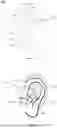 Fig. 02 - Earphones