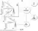 Fig. 02 - METHOD AND APPARATUS FOR PROVIDING VERY HIGH THROUGHPUT OPERATION AND CAPABILITY SIGNALING FOR WIRELESS COMMUNICATIONS